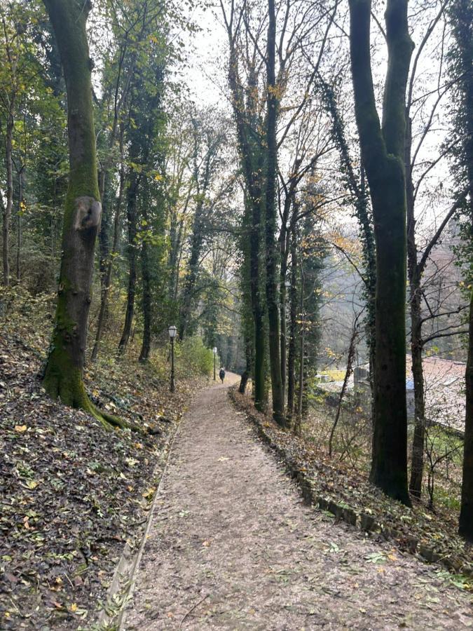 Historic Center-Lovely Nature Zagabria Esterno foto